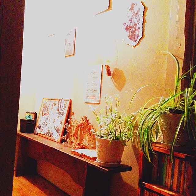Ekaterinaさんの実例写真