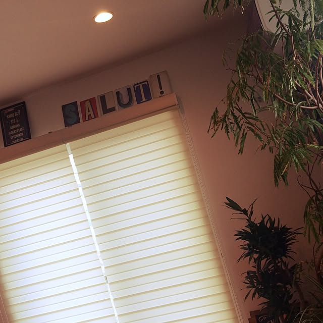 misaさんの実例写真