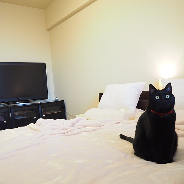 ki-chanさんの実例写真