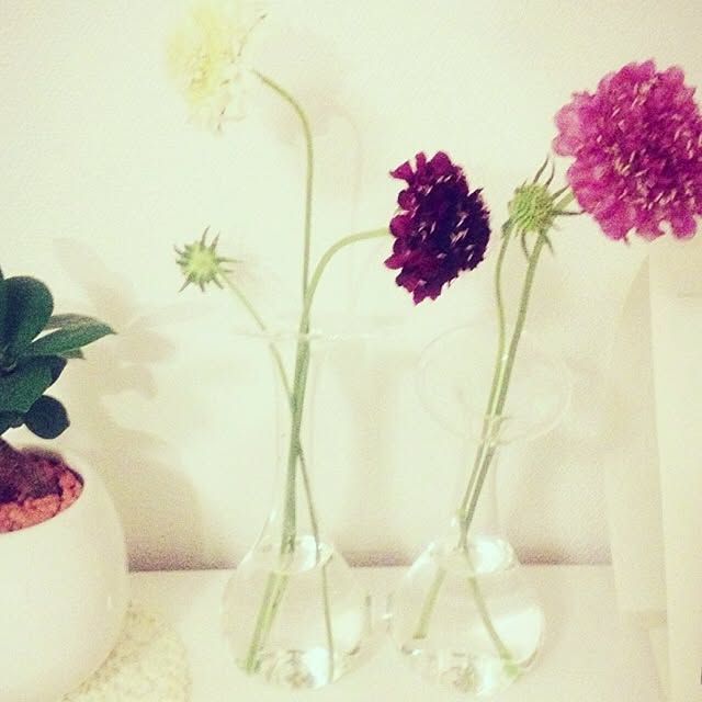 jizel.7さんの実例写真