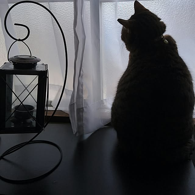 berariさんの実例写真