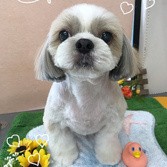 ronさんの実例写真