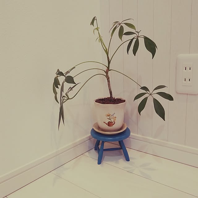 kawaiiouchi-labo.akiさんの実例写真