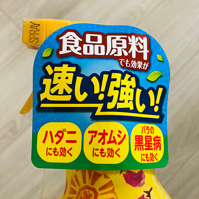 kuroさんの部屋