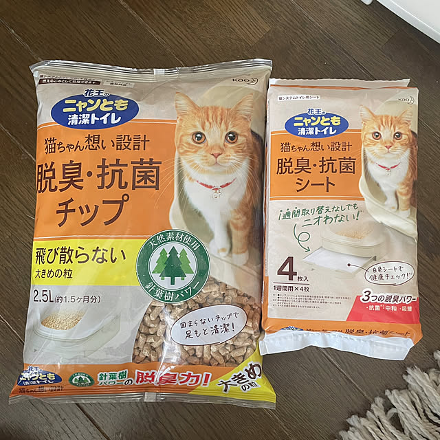kotoriさんの部屋