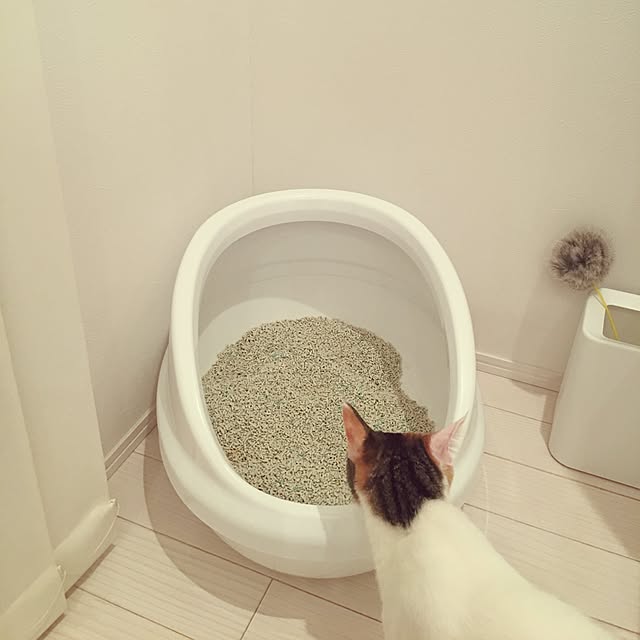 koumeさんの実例写真