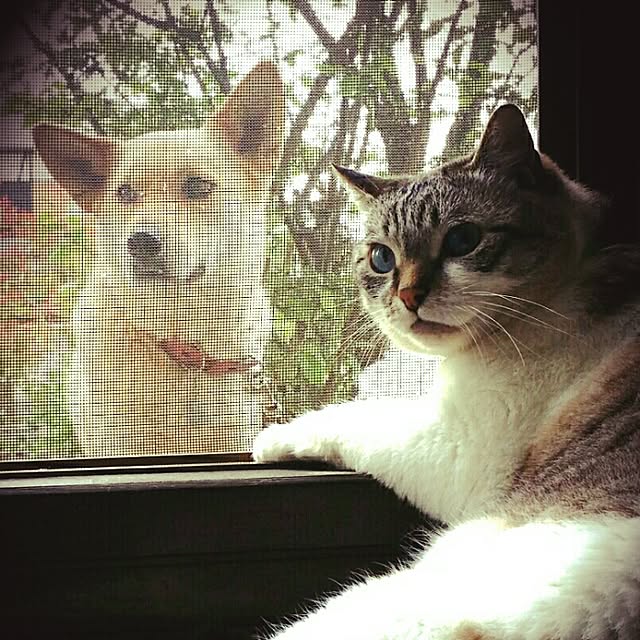 lecielさんの実例写真