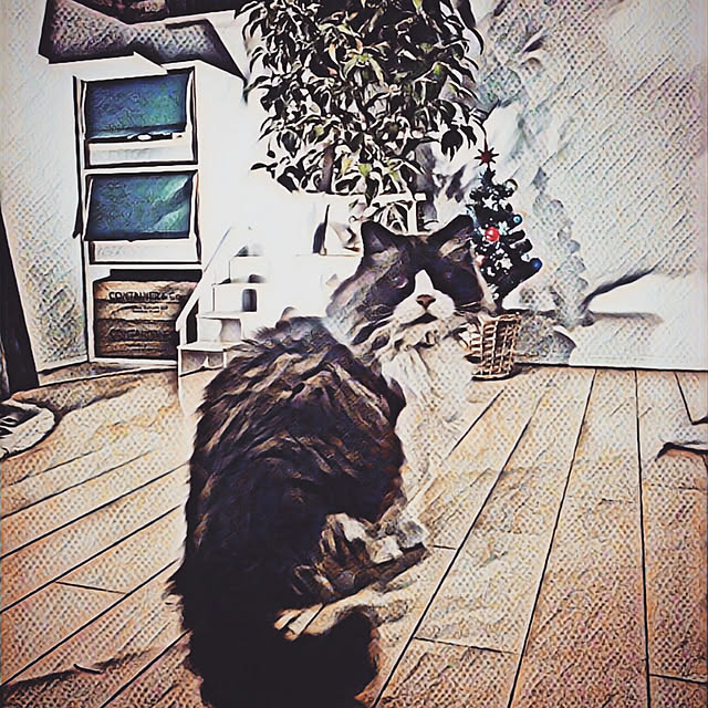 hiroshiさんの実例写真