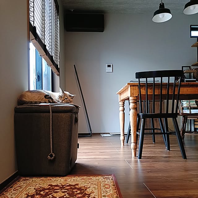 Atelier_tamakiさんの部屋