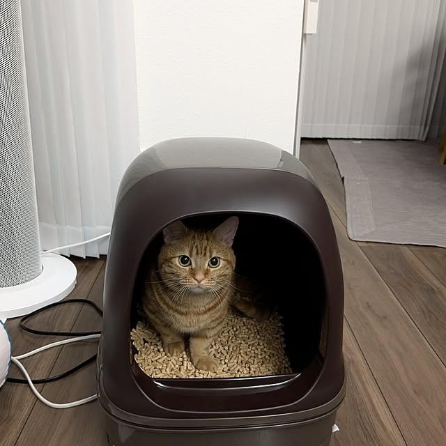 chiiさんの実例写真