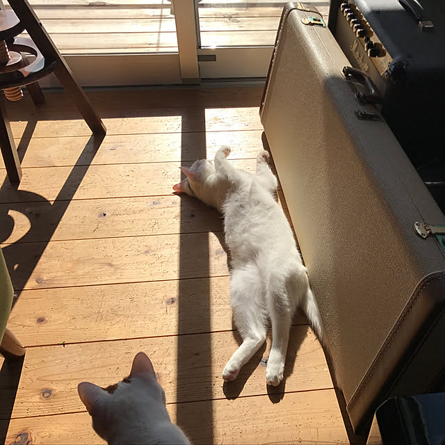 sakurasakuさんの実例写真
