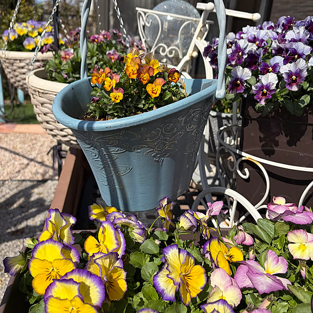 ronronさんの部屋