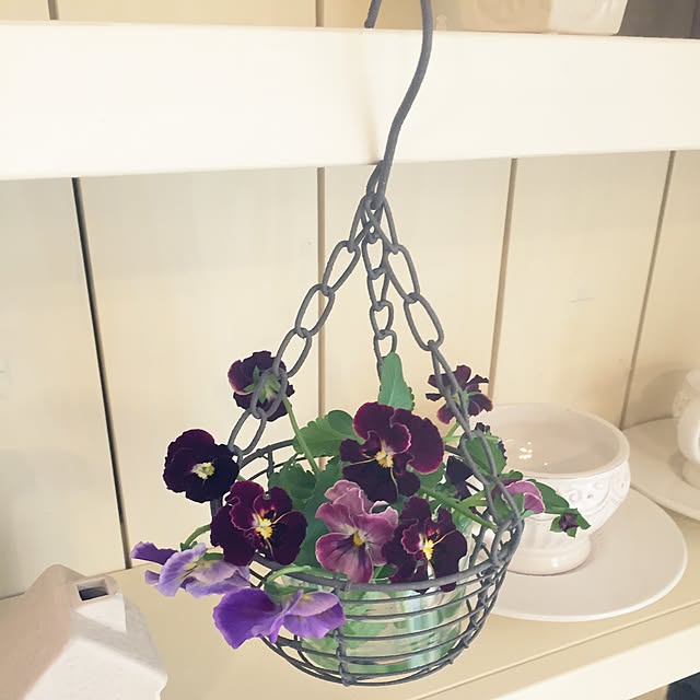 yuchi_chiさんの実例写真