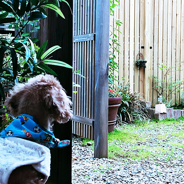 chacoさんの実例写真