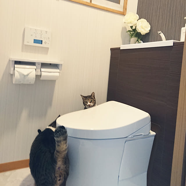 nachiさんの実例写真
