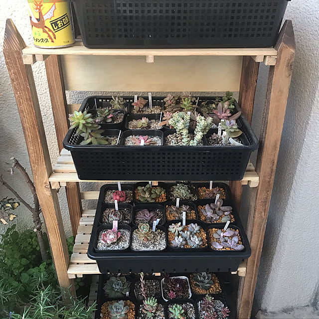 Ryokoさんの実例写真