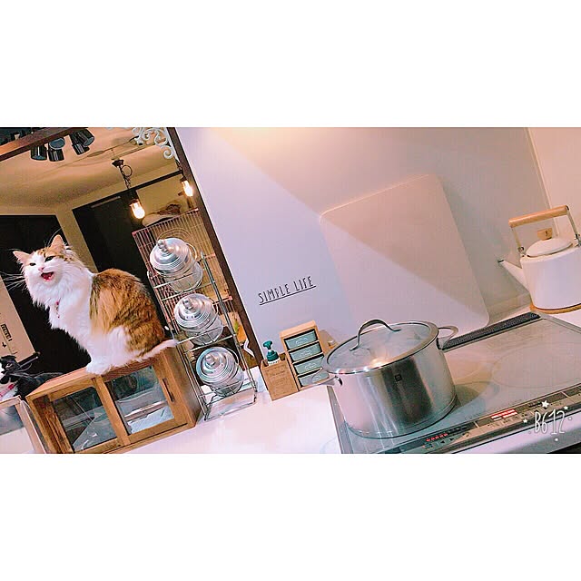 mikan0607さんの実例写真