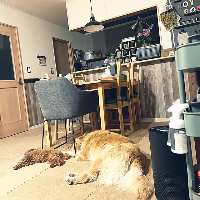 Royさんの実例写真