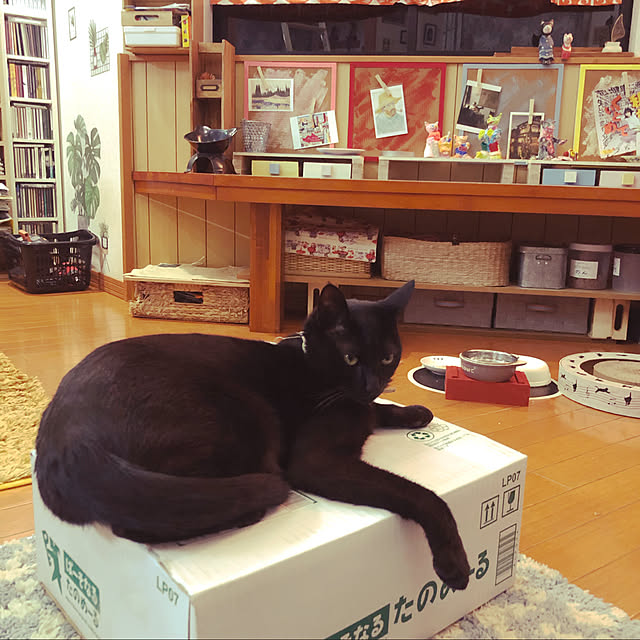 jijiさんの実例写真