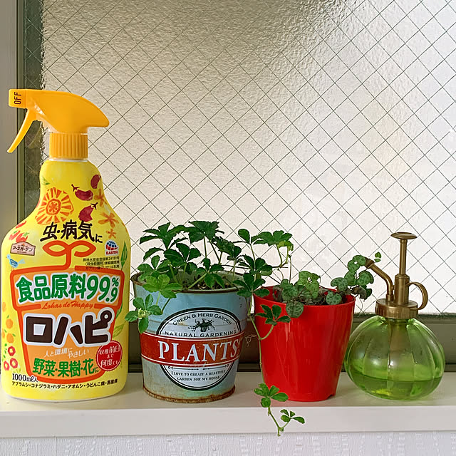 eshinobumさんの実例写真
