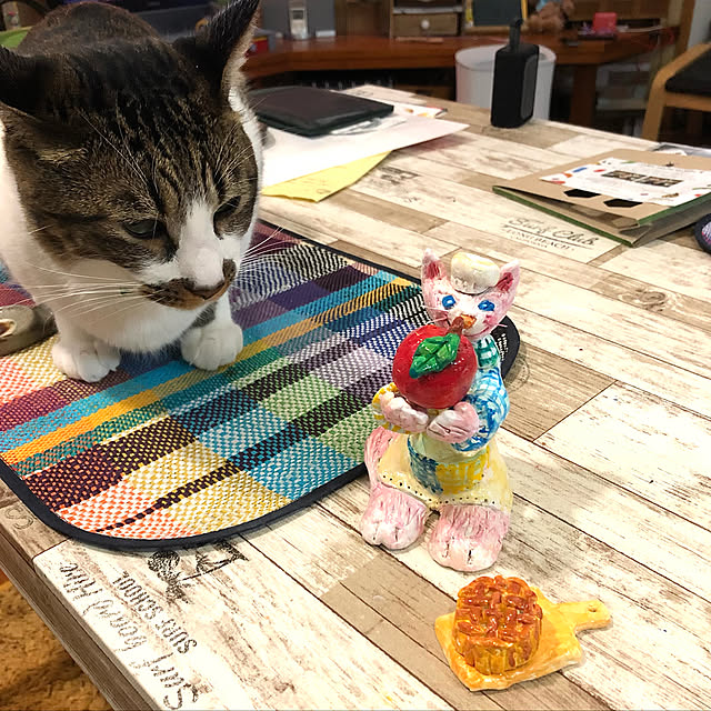 jijiさんの実例写真