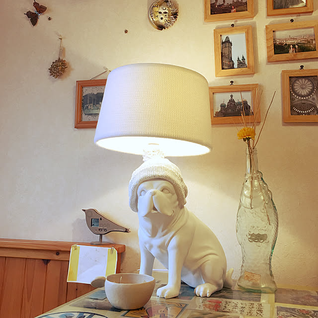 Setsukoさんの実例写真