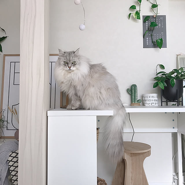 moon.mさんの実例写真