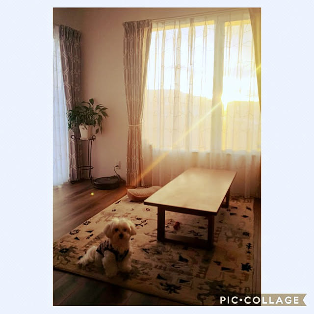 JUDYさんの実例写真