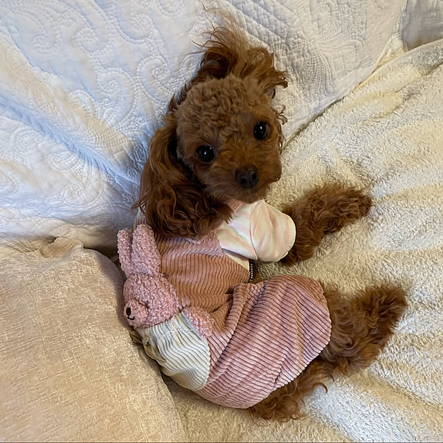 mamizaさんの実例写真