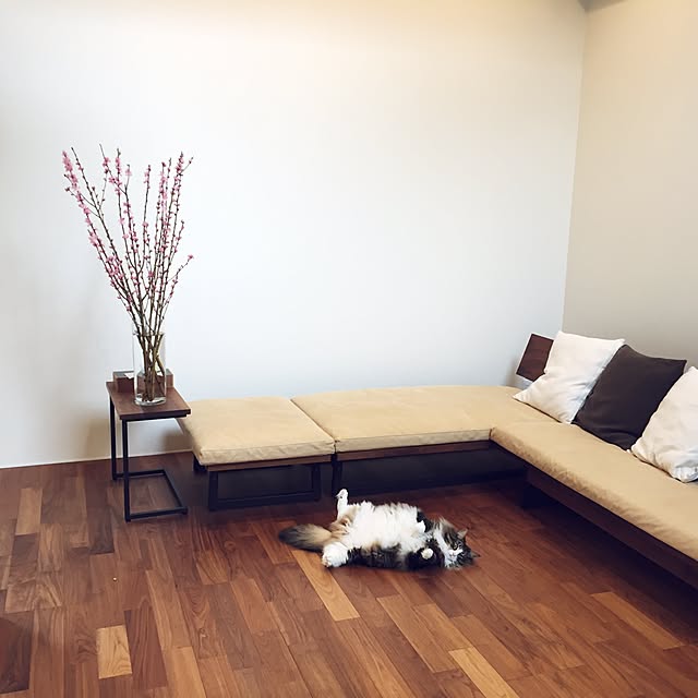 tongarihouseさんの実例写真