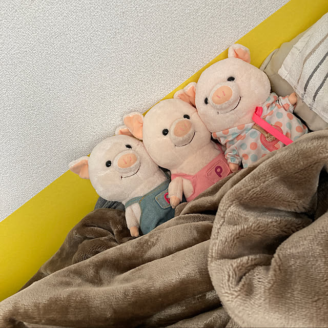 masaさんの実例写真