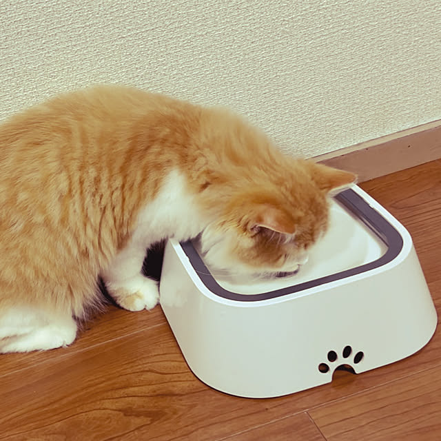 junさんの部屋