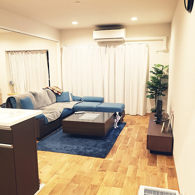 sanoaさんの実例写真