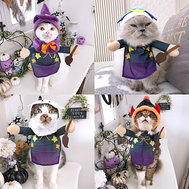 yuchiさんの実例写真