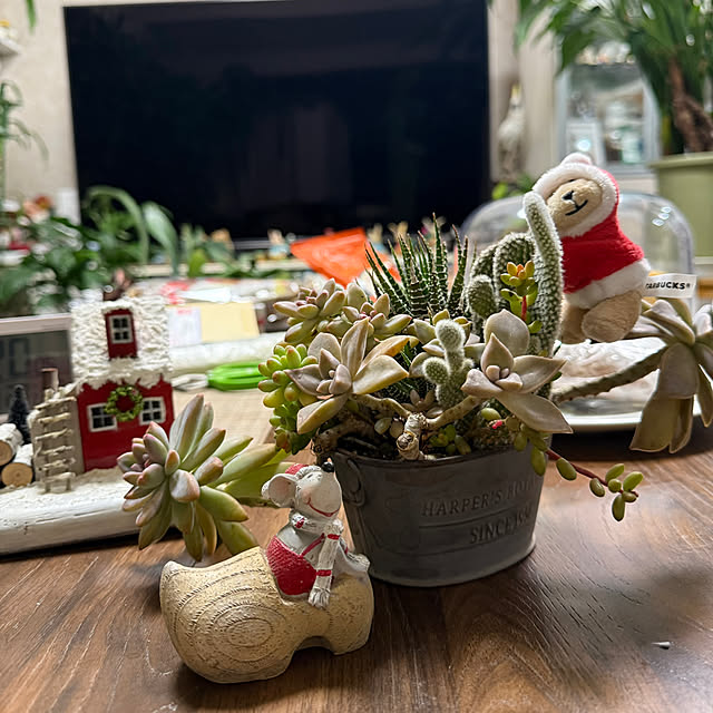 Aqettyさんの部屋