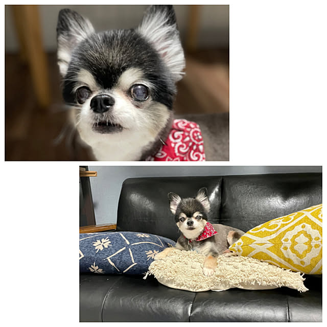 asako.10さんの実例写真