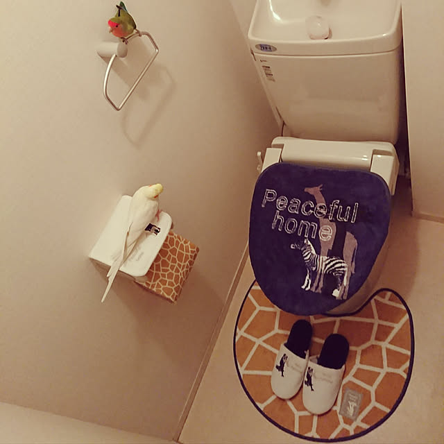 toratanさんの実例写真