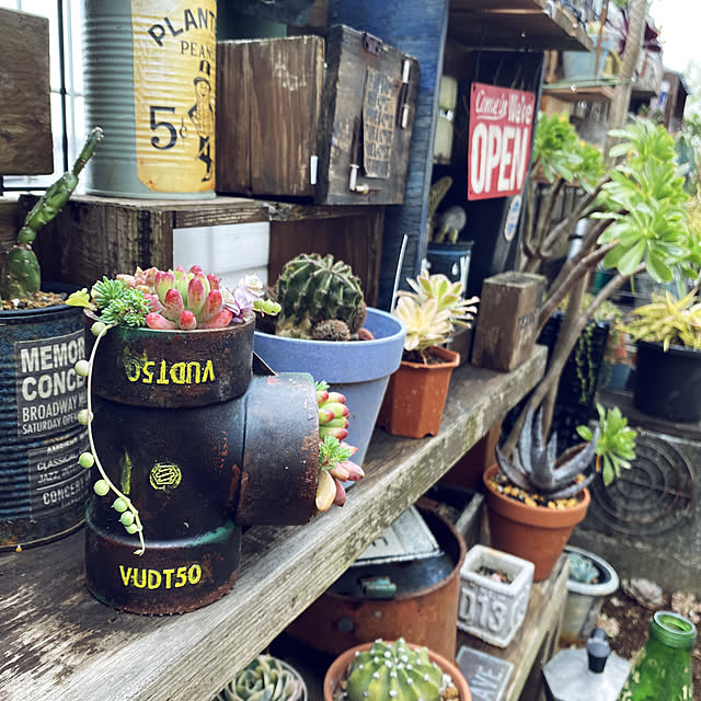 寄せ植え/塩ビ管リメイク/いいね、フォロー本当に感謝デス☺︎/おひさしぶりです(*´ー｀*)/マキシマリスト...などのインテリア実例 - 2022-03-18 09:32:38
