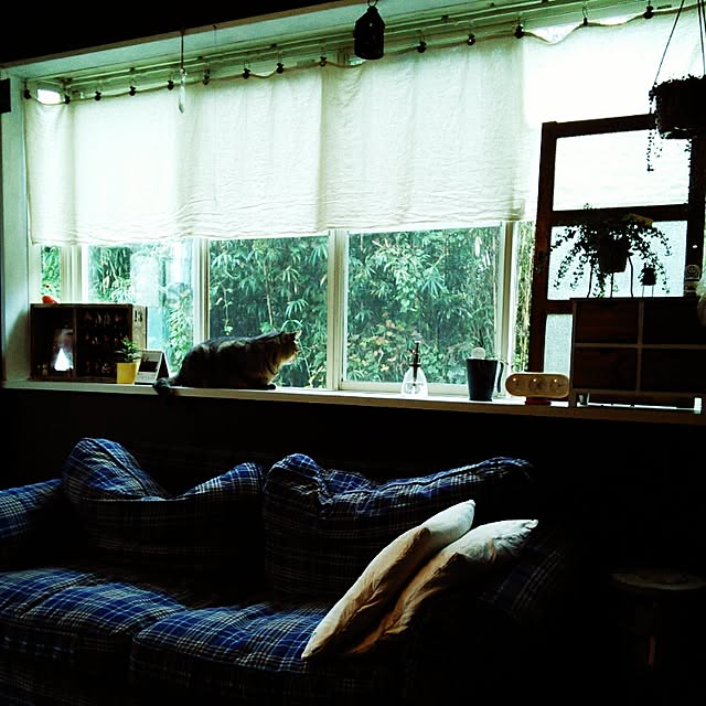 alps114さんの実例写真