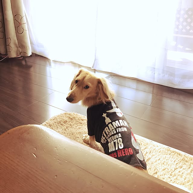 -Riley-mama.-さんの実例写真