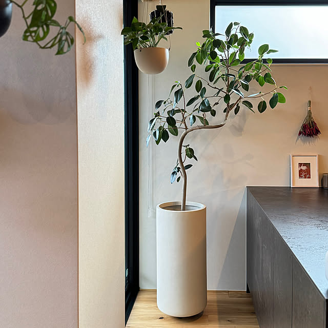 Minaさんの実例写真