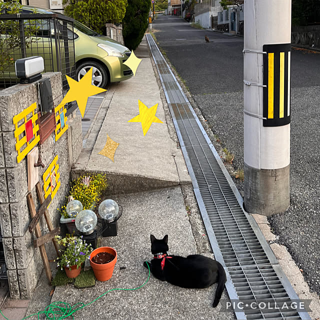 jijiさんの実例写真