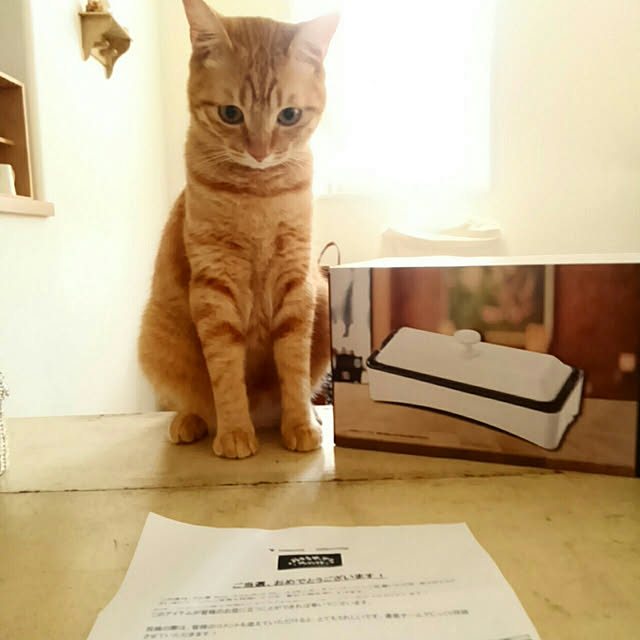mayutan.さんの実例写真