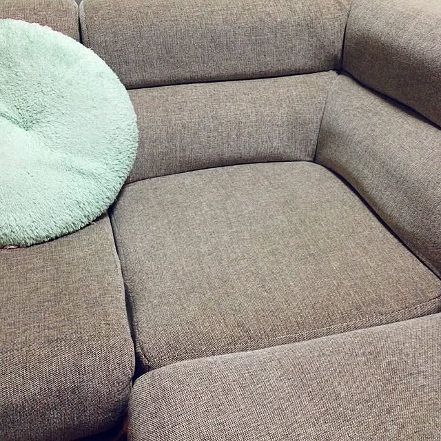 sakuraさんの実例写真