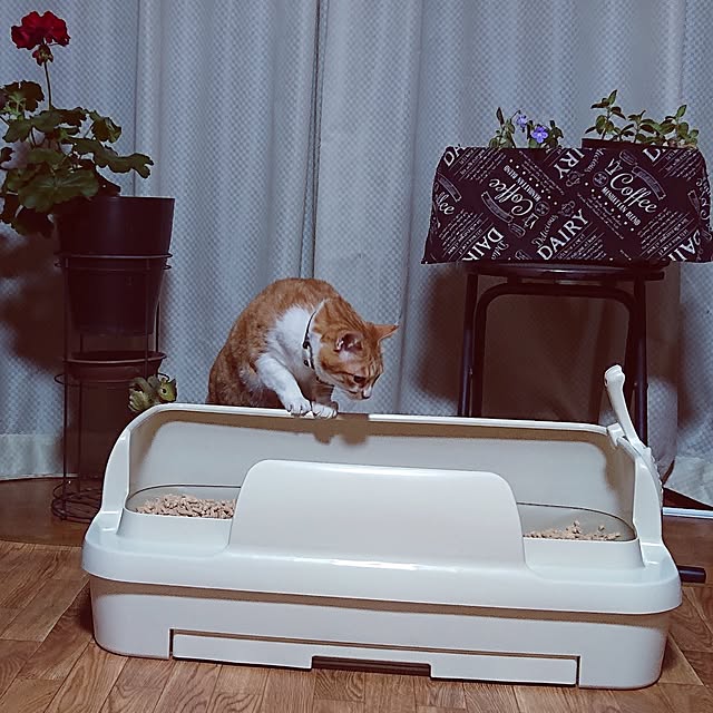 NOAHさんの実例写真