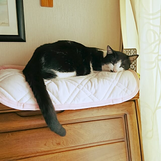 Mooさんの実例写真