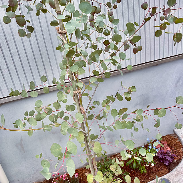 hachiさんの部屋