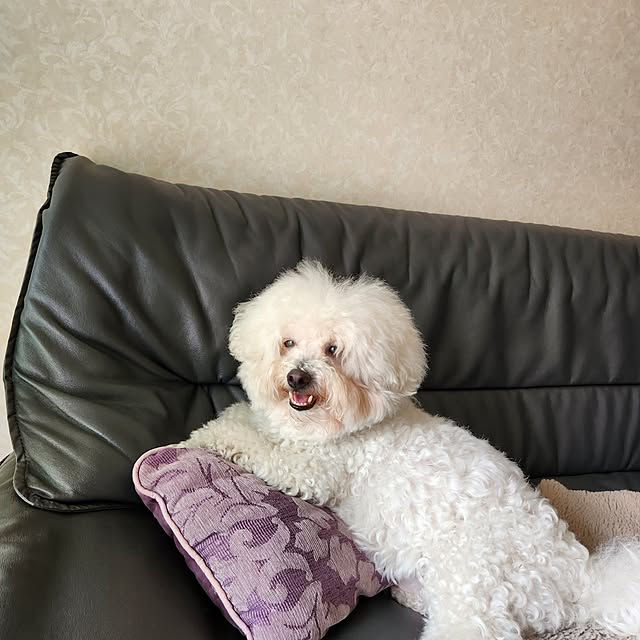 takoさんの部屋
