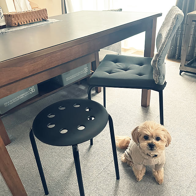 ikt.tamaさんの部屋