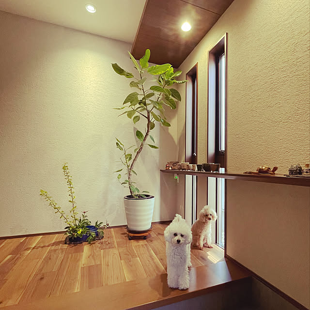 実例写真